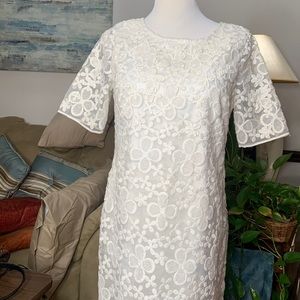 Ann Taylor size 10 white lace dress beautiful brunch special occasion dress